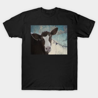 Cow Funny Calf Face Cow Lover Gift Products T-Shirt